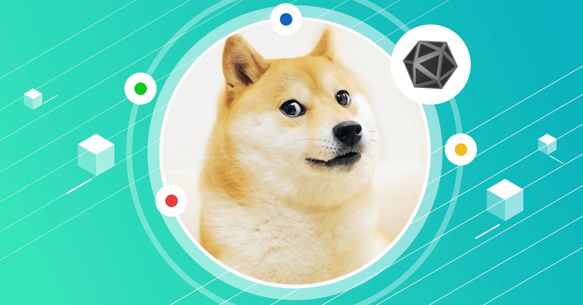 Doges on Trial - Observations from Our Decentralized Curated List Pilot
